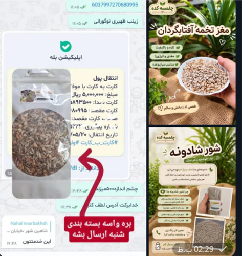آجیل-وخشکبارتنقلات-سالم