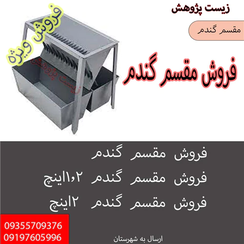 فروش-مقسم-گندم