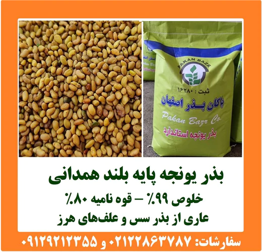 بذر-یونجه-رنجر-پاکان-بذر-اصفهان؛-انتخاب-بذر-برا
