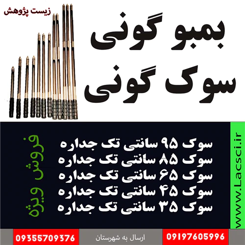 بمبو-گونی