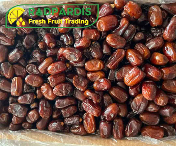 خرید-و-تامین-عمده-خرما-کلوته-صادراتی