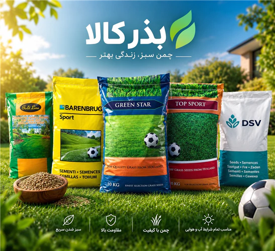 فروش-بذر-چمن--بذر-چمن-باغ-و-ویلا--زمین-ورزشی