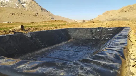 تصویر پروفایل